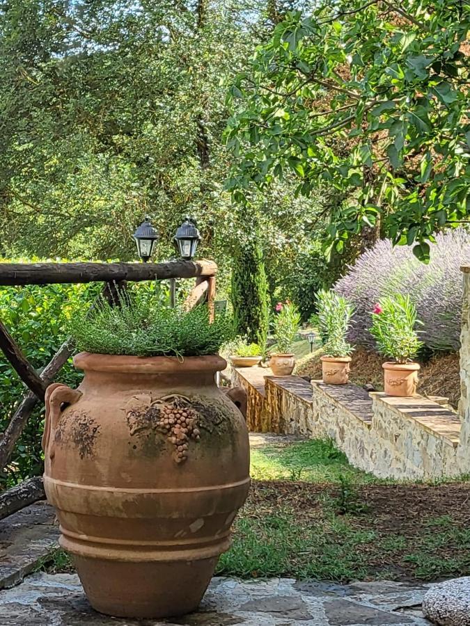Luxury 1-Bedroom House With The Pool In Tuscany. Anghiari Exterior photo