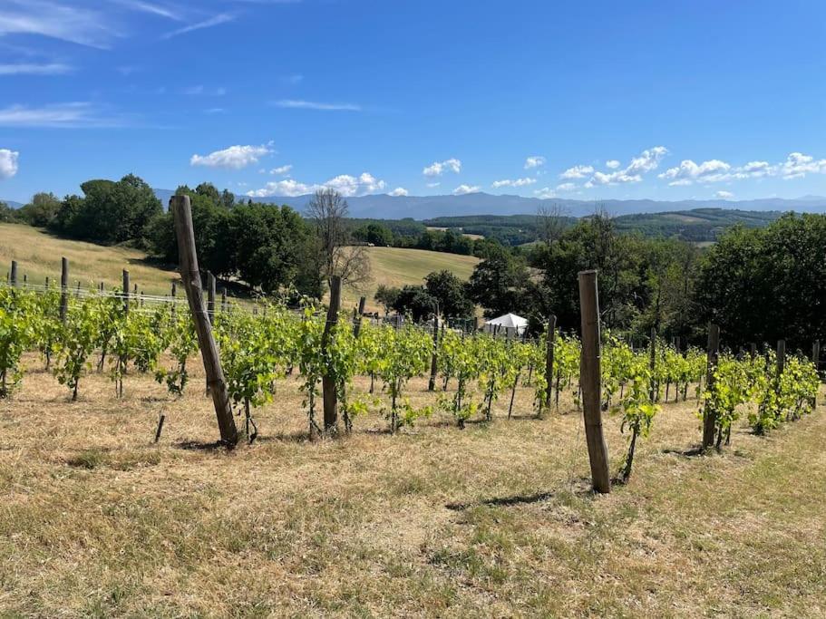 Luxury 1-Bedroom House With The Pool In Tuscany. Anghiari Exterior photo