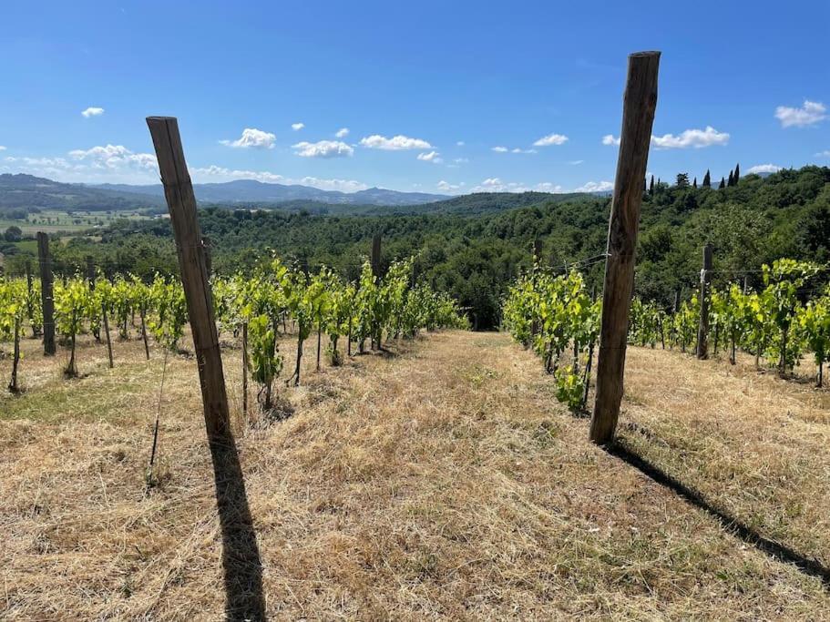 Luxury 1-Bedroom House With The Pool In Tuscany. Anghiari Exterior photo