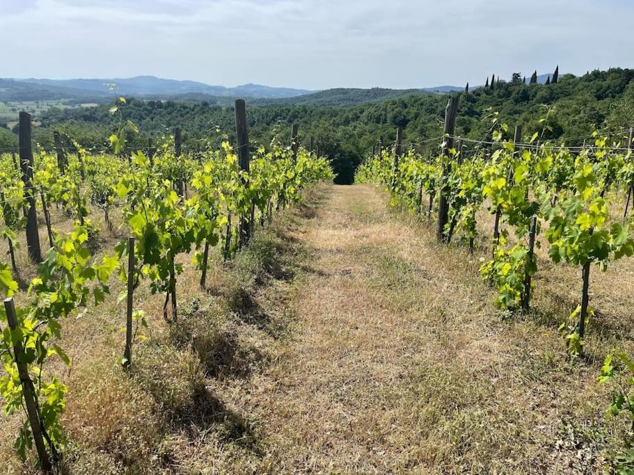 Luxury 1-Bedroom House With The Pool In Tuscany. Anghiari Exterior photo